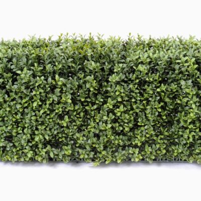 boxwood hedge new metal structure 5