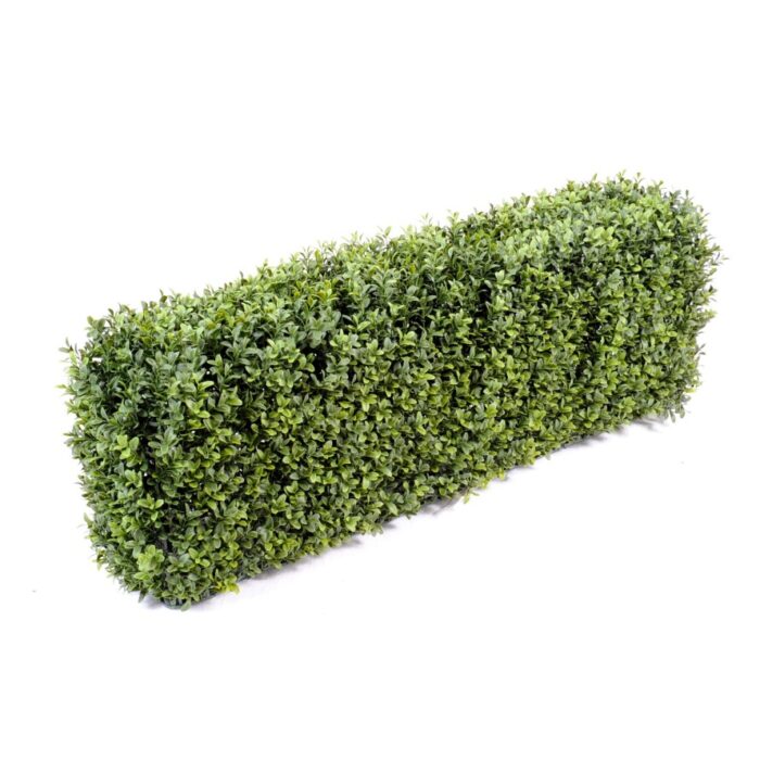 boxwood hedge new metal structure