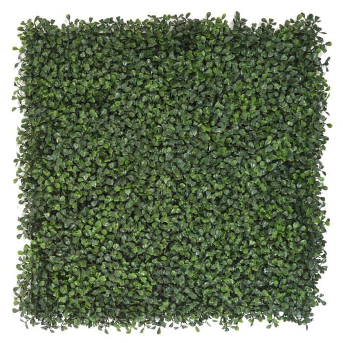boxwood plate 5050