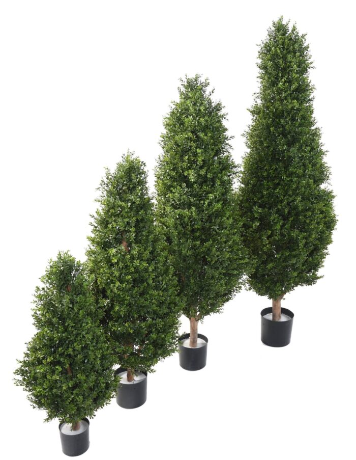 boxwood red day uv topiary 3 scaled