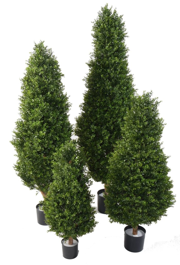 boxwood red day uv topiary scaled