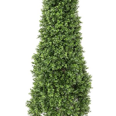 boxwood topiary new 2 scaled