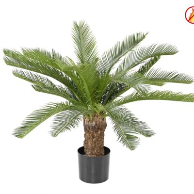 cycas tronc fr fire resistant scaled