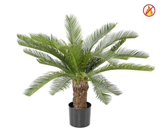 cycas tronc fr fire resistant scaled