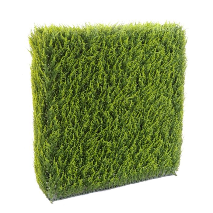 cypres juniperus hedge metal structure 8