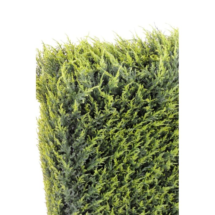 cypres juniperus hedge metal structure 9