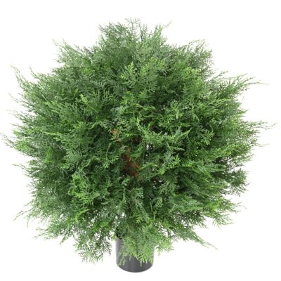 cypress lawson uv ball 1 scaled