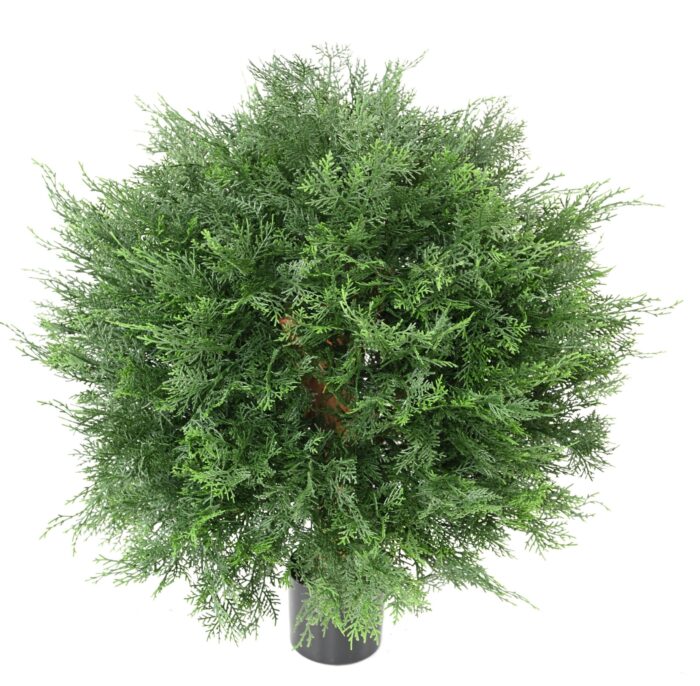cypress lawson uv ball 1 scaled