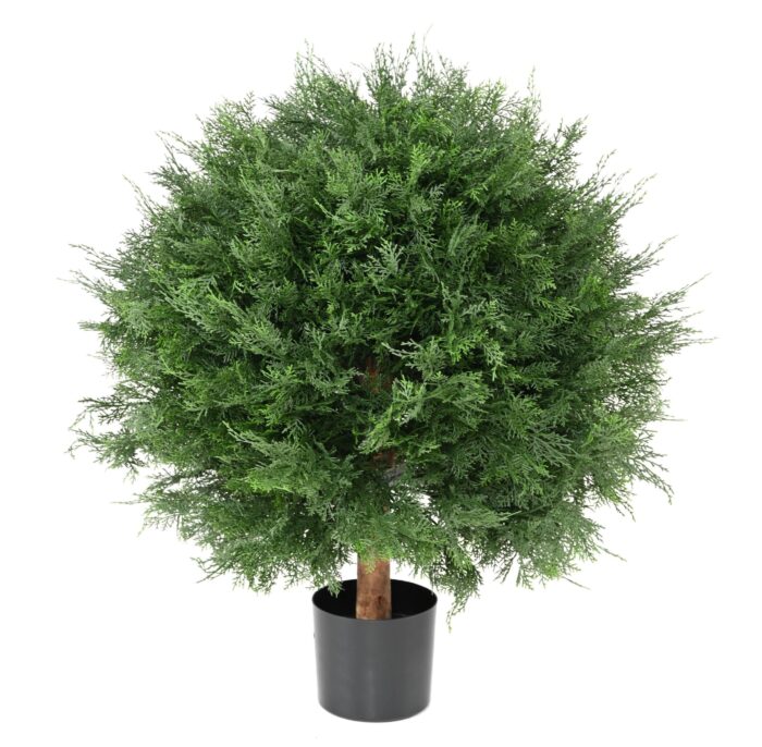cypress lawson uv ball 3 scaled