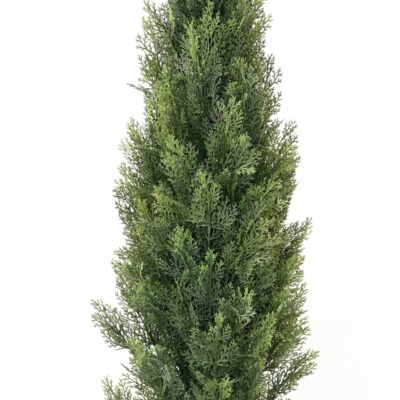 cypress mini new 4 scaled