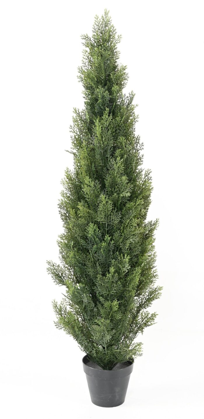cypress mini new 4 scaled