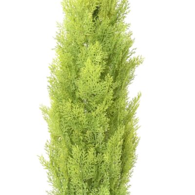 cypress mini new 5 scaled