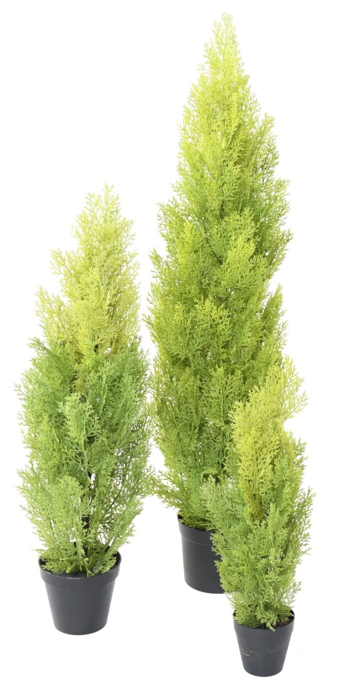 cypress mini new 6 scaled