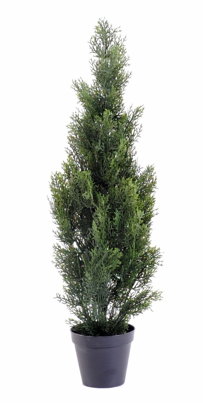 cypress mini new 7