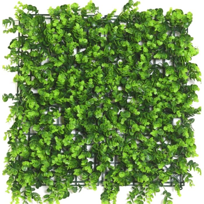 eucalyptus background wall 5050