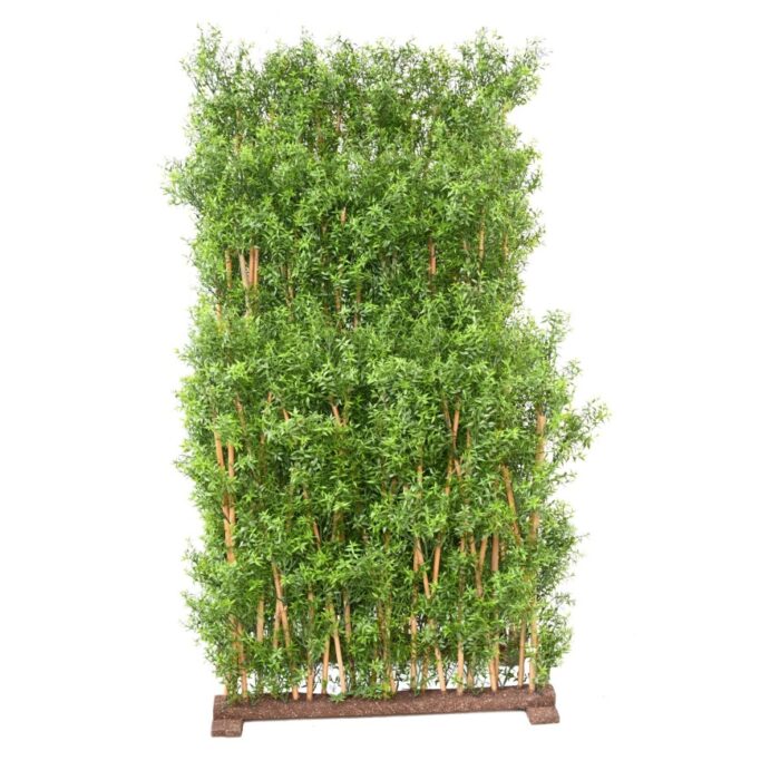 eucalyptus hedge uv 3