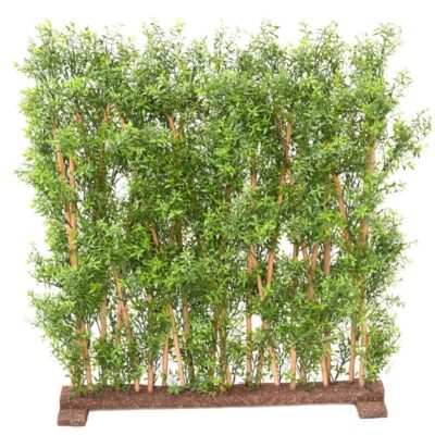 eucalyptus hedge uv