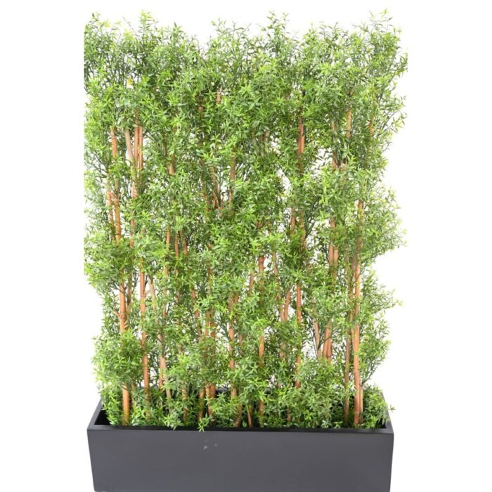 eucalyptus hedge uv 6