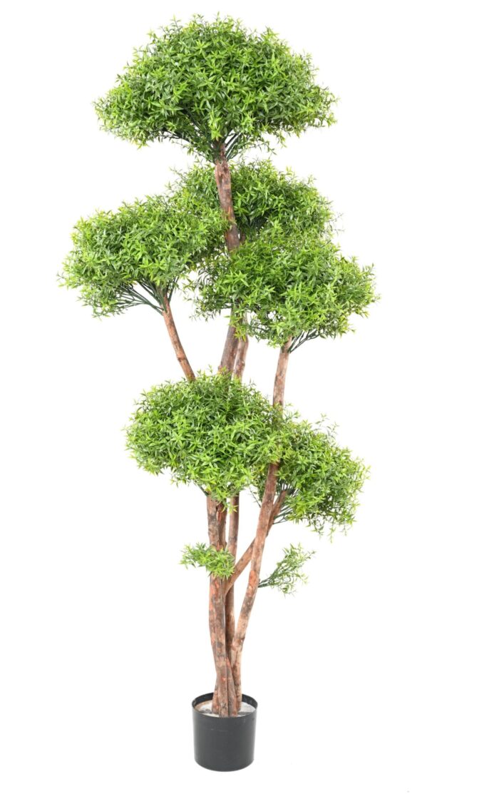 eucalyptus m tree uv 1 scaled