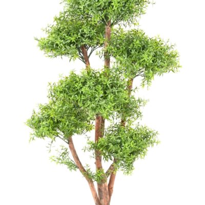 eucalyptus m tree uv scaled