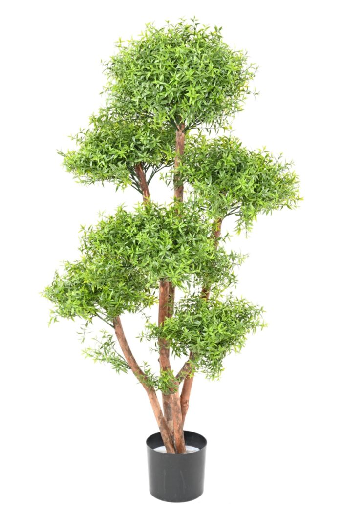 eucalyptus m tree uv scaled