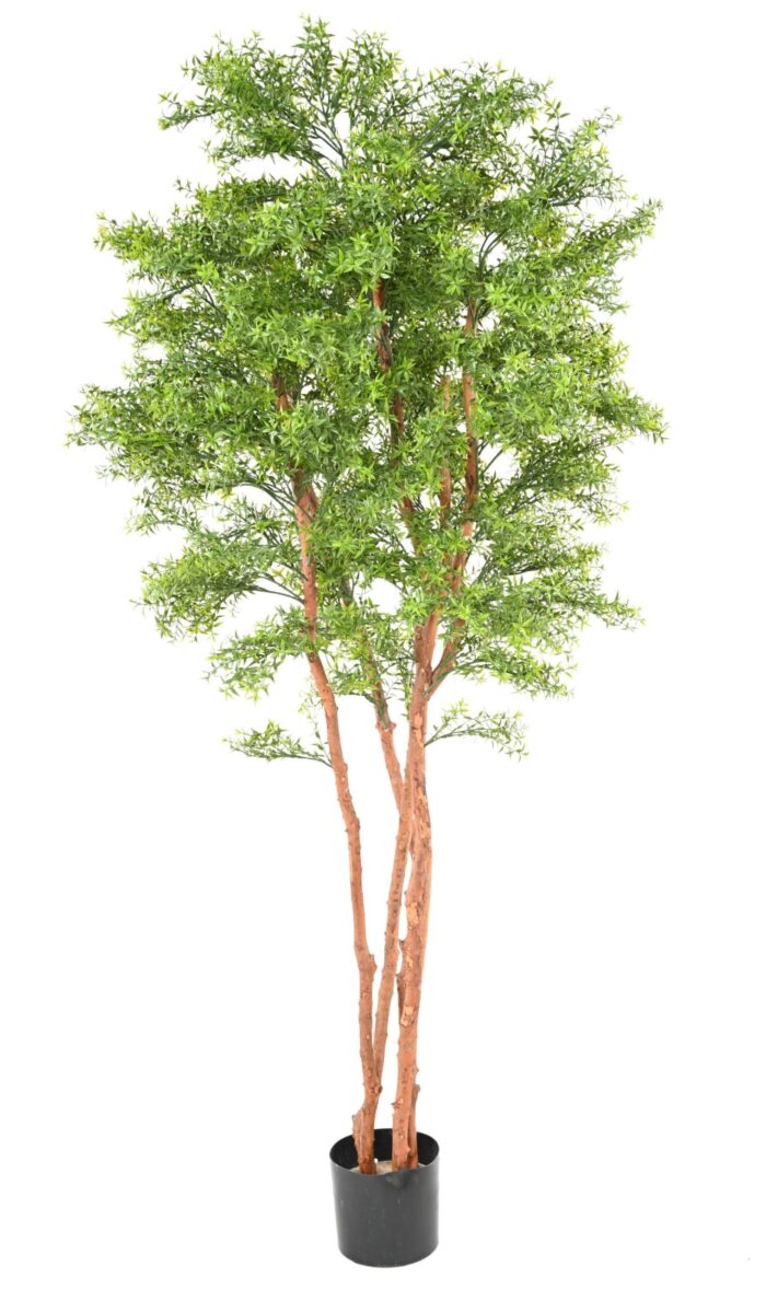eucalyptus tree uv 2 scaled