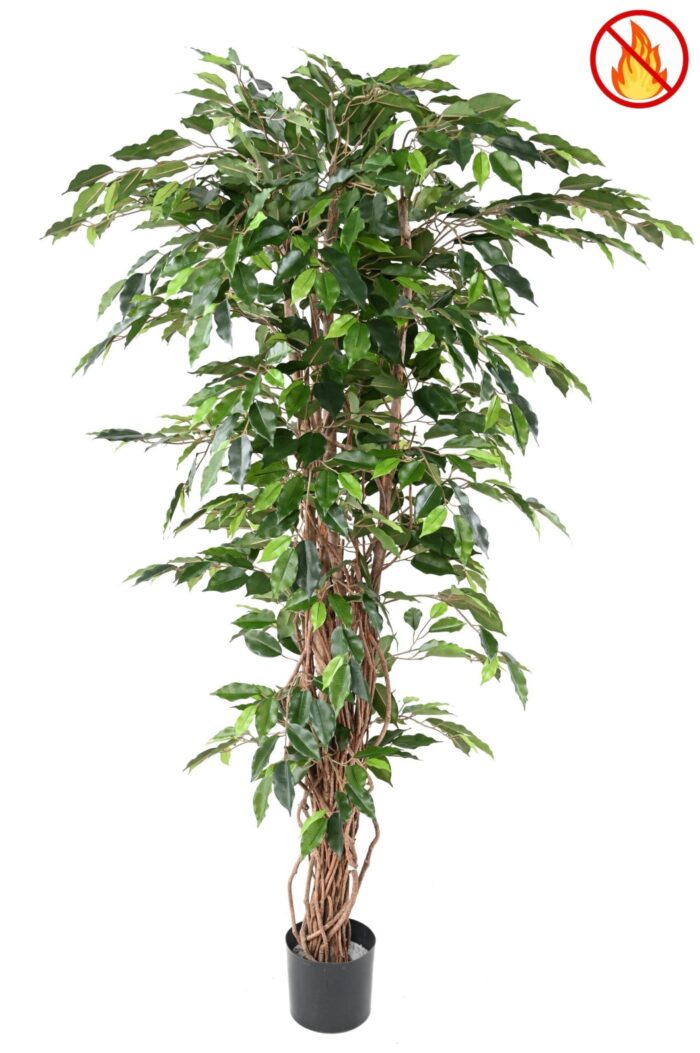 ficus 180 lianas fr fire resistant scaled