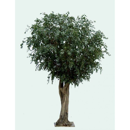 Künstlicher Ficus Baum, ca. 500cm hoch, grün