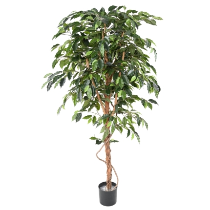 Künstlicher Ficus, ca. 180cm hoch, grün
