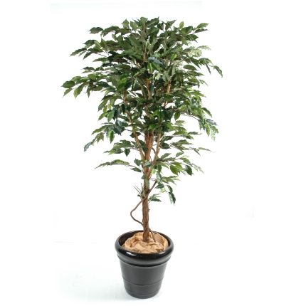 Künstlicher Ficus Baum, ca. 210cm