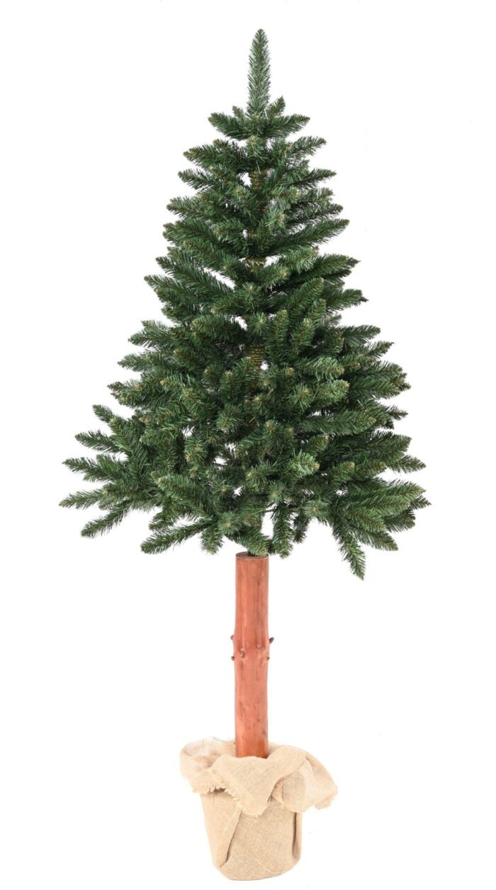 fir tora 1 scaled