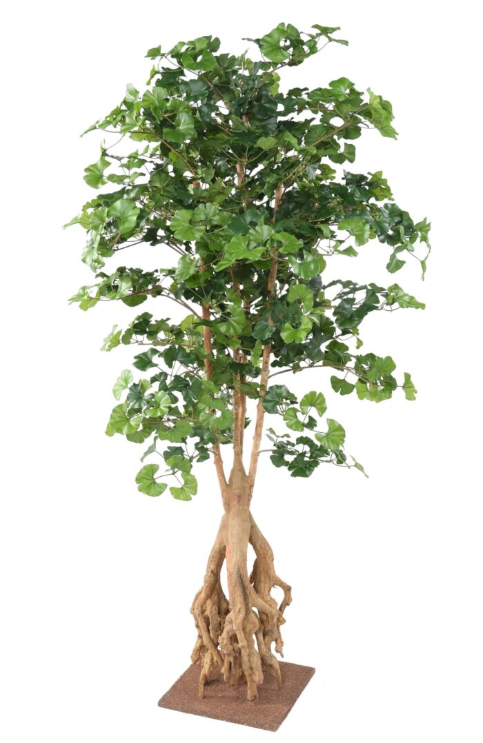 ginkgobiloba root 180 scaled
