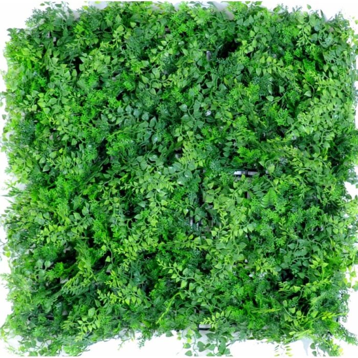 green wall mixed fern background