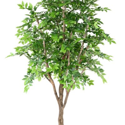 hornbeam 280 scaled