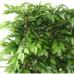 Künstliche Hainbuchenhecke, täuschend echt, ca. 150cm hoch – Bild 2