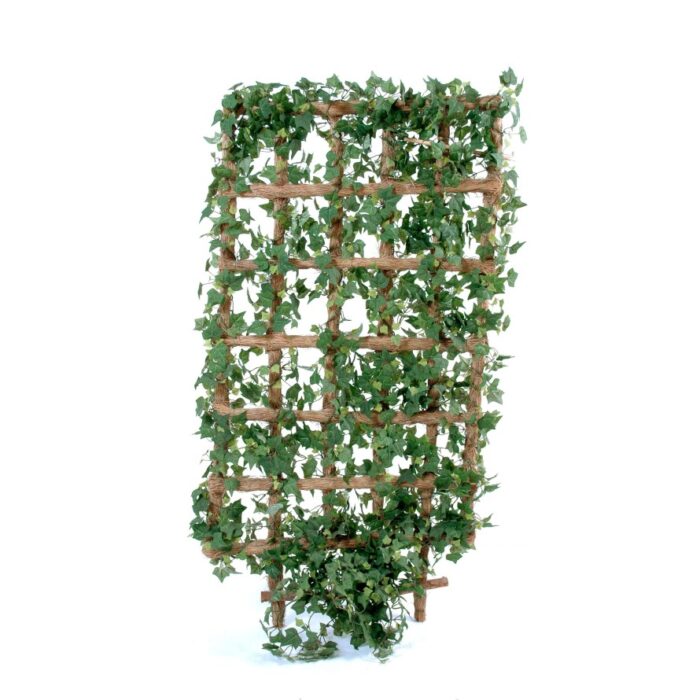 ivy wall