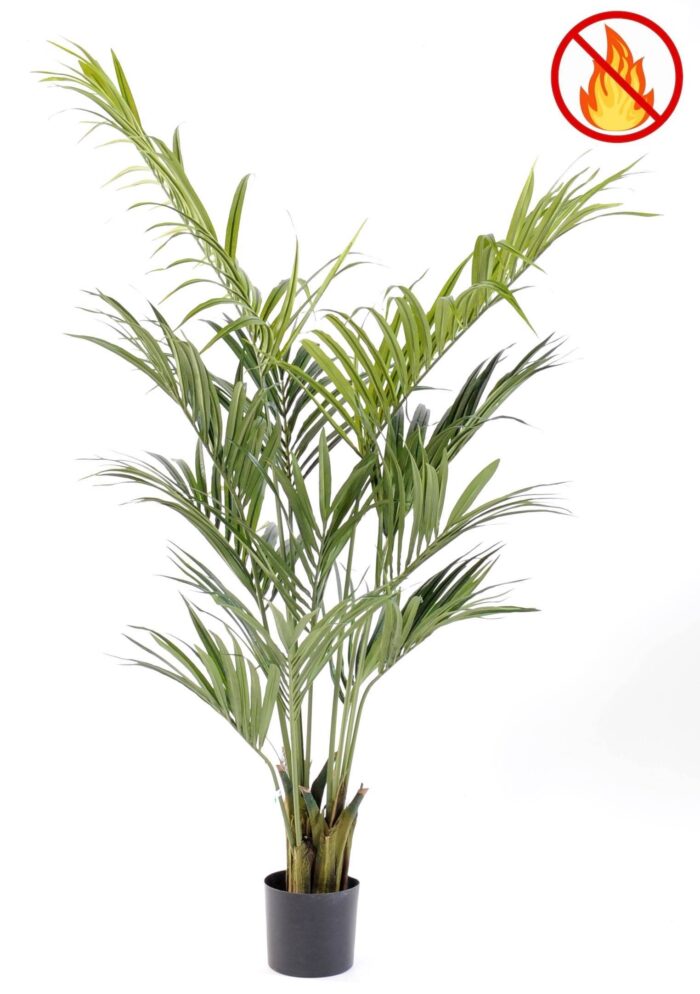 kentia palm 190 fr fire resistant