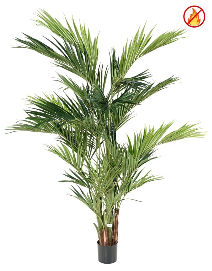 kentia royal fr fire resistant 1 scaled