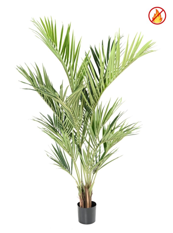kentia royal fr fire resistant scaled