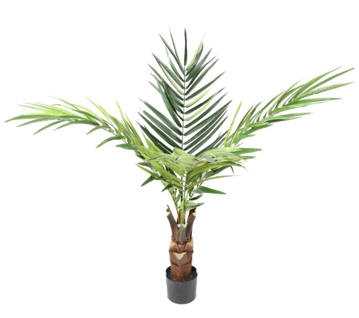 kentia trunk scaled