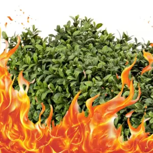 kunsthecken feuerhemmend