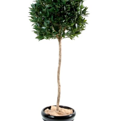 laurel ball luxury stem scaled