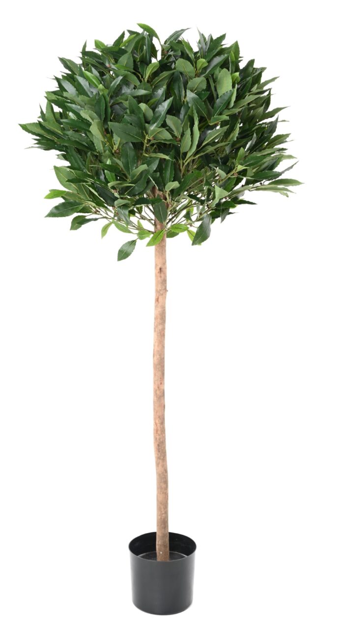 laurel ball stem 150 b scaled