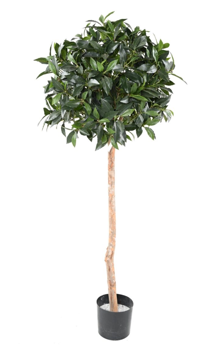 laurel ball stem scaled