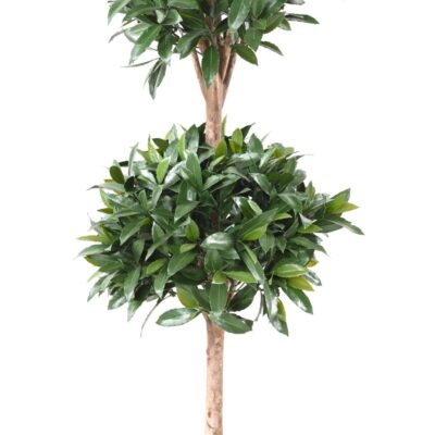 laurel nobilis new double ball 140 uv scaled