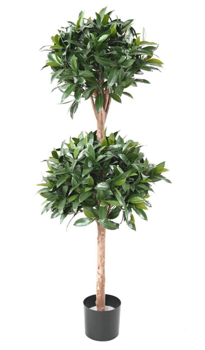 laurel nobilis new double ball 140 uv scaled