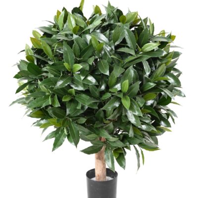 laurel nobilis new uv ball 2 scaled