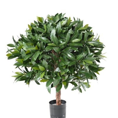 laurel nobilis new uv ball 3 scaled