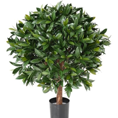 laurel nobilis new uv ball 4 scaled