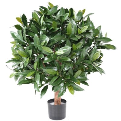 laurel nobilis new uv ball scaled